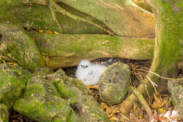 Viagem para as ilhas Seychelles