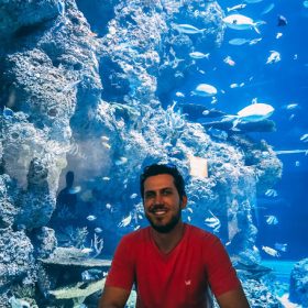 Aquário de Singapura