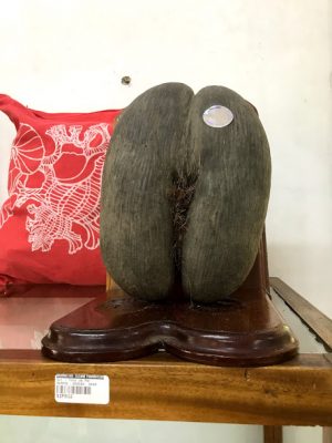 Viagem para as ilhas Seychelles