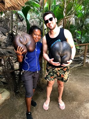 Viagem para as ilhas Seychelles