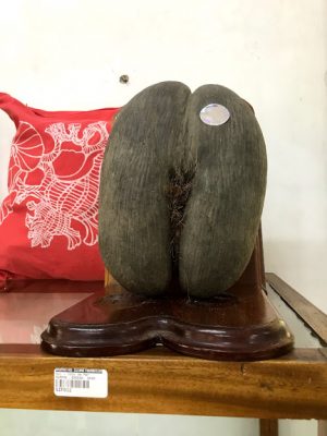 Guia das Ilhas Seychelles