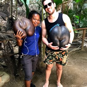 Guia das Ilhas Seychelles