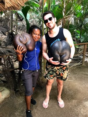 Guia das Ilhas Seychelles